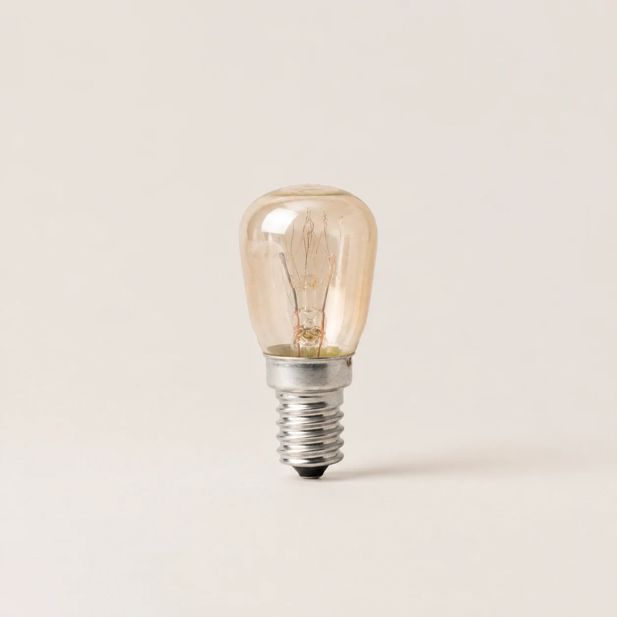 Salt Lamp Bulb — 25 Watts / 1pc