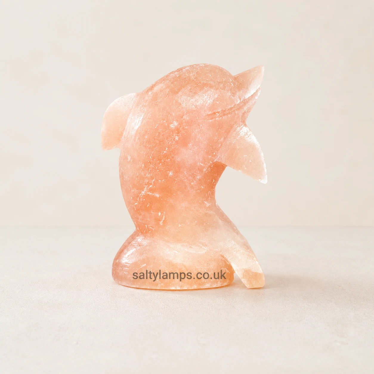 Dolphin Shape Himalayan Rock Salt Lamp